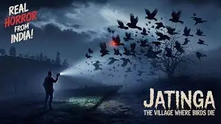 Jatinga Valley, a mysterious place in Assam where birds commit &lsquo;mass suicide&rsquo;