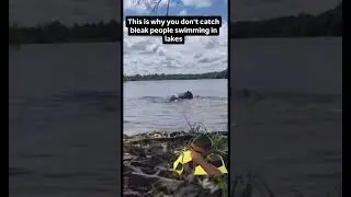 Young girl gets attacked by a beaver swimming in lake #worldnews #viralvideo