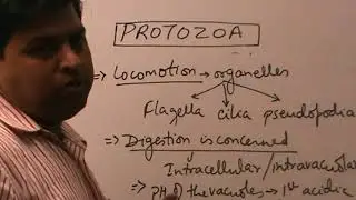 protozoa Dr mansoor ahmed kota experts PART-1