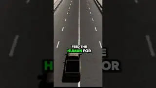 Feed for dog 🐕 #joker #jokerchallenge #jokermotivation #inpiration #mindset #motivation