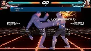 054. Concussion Kick Movement Frame Data