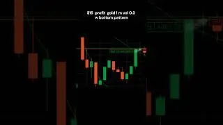 day 6 total profit $444 inconsistency 20%
