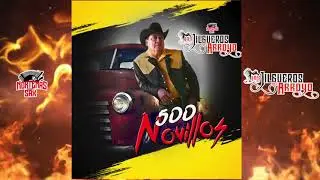 Los Jilgueros Del Arroyo -500 Novillos (Polka)[En Vivo ]
