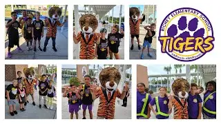Начальная школа Ричи: школа IB PYP World School
