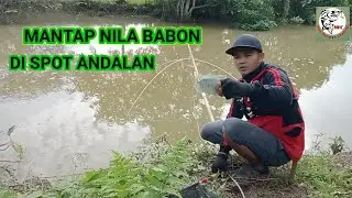 MANTAP NILA BABON DI SPOT ANDALAN MENGGUNAKAN UMPAN  ( @mashermanchannel2778 )