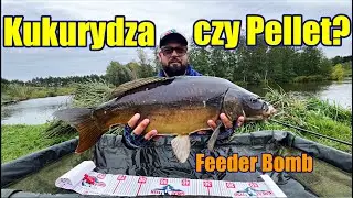 Kukurydza czy pellet? Co wabi więcej ryb? Feeder bomb i karpie w pochmurny dzień.