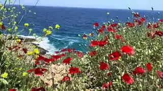 Beauty for the ladies! Visit Ikaria (Icaria) !