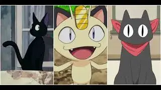 Anime Cats Feature