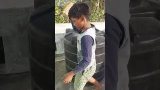 cutie kitten playing on terrace 16-2-23 we are scaring it may fall down from holes