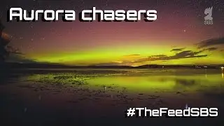 Aurora chasers - The Feed