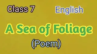 Class 7 English A Sea of Foliage ( poem) Solution (NCERT)