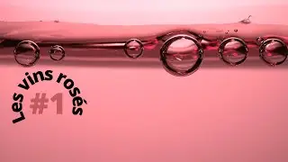 Les diff&eacute;rents vins ros&eacute;s