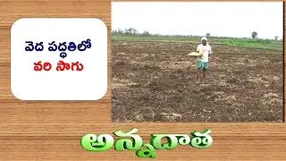 Direct Sowing Of Paddy || ETV Annadata