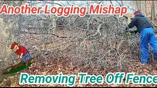 Removed Tree From Fence;  ANOTHER  Logging Mishap @BackHomeWithUs #logging #loggers  #fencerepair
