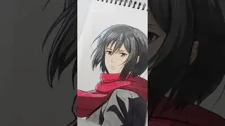 Mikasa Drawing
