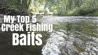 My Top 5 Favorite Creek Fishing Baits