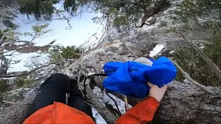 BASE JUMP FROM TREE // HANGING OVER CLIFF // 4K