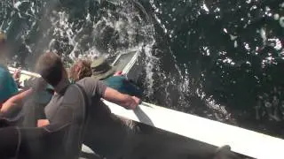 Opvissen televisie uit de Noordzee