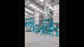 100T Maize Milling Machine Vanisa +86 13933068531#maizemill #flourmills #hongdefa #machinery