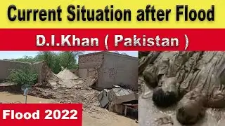 Current situation of D.I.Khan after Flood  | Pakistan flood 2022 today updates | Pakistan Flood 2022