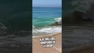 Olas Orilleras rompiendo en la arena