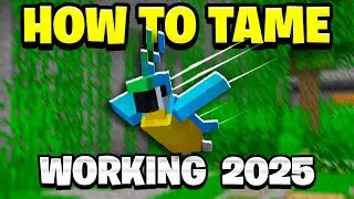 How to Tame Parrots in Minecraft