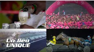 L'offre LeTROT Entreprises &agrave; l'Hippodrome Paris-Vincennes