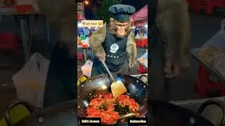 monkey cooking food😂 #monkey #shorts #cooking #shortvideo #funny #trending #monkeycookingfood