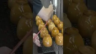 Realizzazione di ciotole Meiboku: recipienti in legno realizzati a mano da artigiani giapponesi.