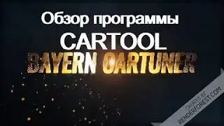 Обзор программы CARTOOL