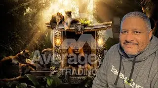 My Futures Srategy Using The MACD, Bollinger Bands, and Linear Regression Channel