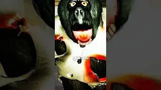 СЕКРЕТНЫЙ АНИМАТРОНИК В НОЧНОЙ СМЕНЕ В CHUCK E CHEESE&rsquo;S 2!