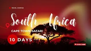 EXPLORING South Africa's Stunning Cape Town and WILD Safari Adventure!