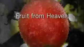 G3 juice fruit from heaven