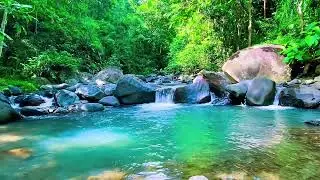 Forest River Natural Flow, Mountain Stream Audio, Sleeping