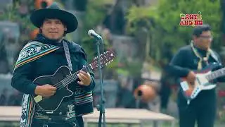 TÍOS JUNIOR   MIX TRADICIONAL (2023)