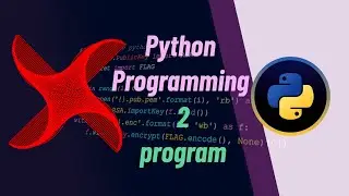 Make python turtle program with simple step #2