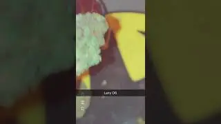 Larry Og
