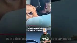 11 января 2026 г.