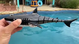 Fun Remote Control Shark!