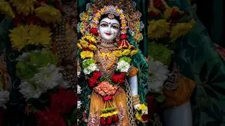 #shree radha radha song short video status#