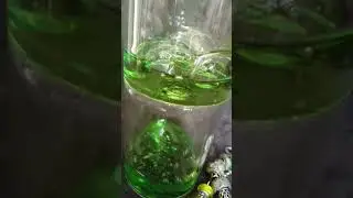 Visual Sensory Aid