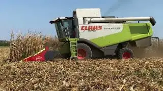 Trebbiatura mais con Claas Lexion 530 e testata Olimac Drago 2