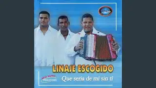 Llego el Amor