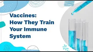 Vaccines: How They Train Your Immune System