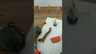 Мое рабочее место #АюшиДугаржапов #ДугаржаповАюши #Аюши
