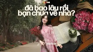 𝐏𝐥𝐚𝐲𝐥𝐢𝐬𝐭 'đã bao lâu rồi bạn chưa về nhà?' 🌸🍃 Playlist Nhạc Chill Mùa Xuân