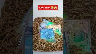 rip god card! #pokemon #pokemoncards #pokemontcg #shorts