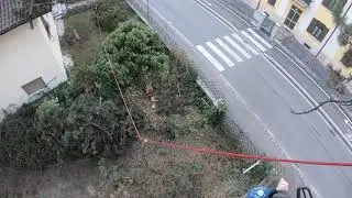 Spezialbaumf&auml;llung mit Speedline