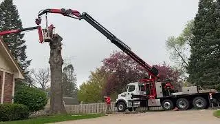 62